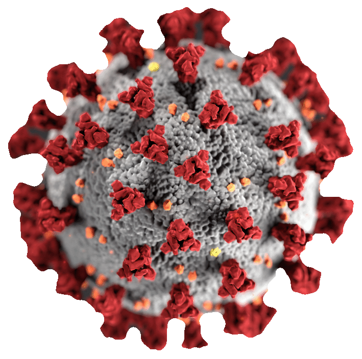 This illustration, created at the Centers for Disease Control and Prevention (CDC), reveals ultrastructural morphology exhibited by coronaviruses. Note the spikes that adorn the outer surface of the virus, which impart the look of a corona surrounding the virion, when viewed electron microscopically. A novel coronavirus, named Severe Acute Respiratory Syndrome coronavirus 2 (SARS-CoV-2), was identified as the cause of an outbreak of respiratory illness first detected in Wuhan, China in 2019. The illness caused by this virus has been named coronavirus disease 2019 (COVID-19).